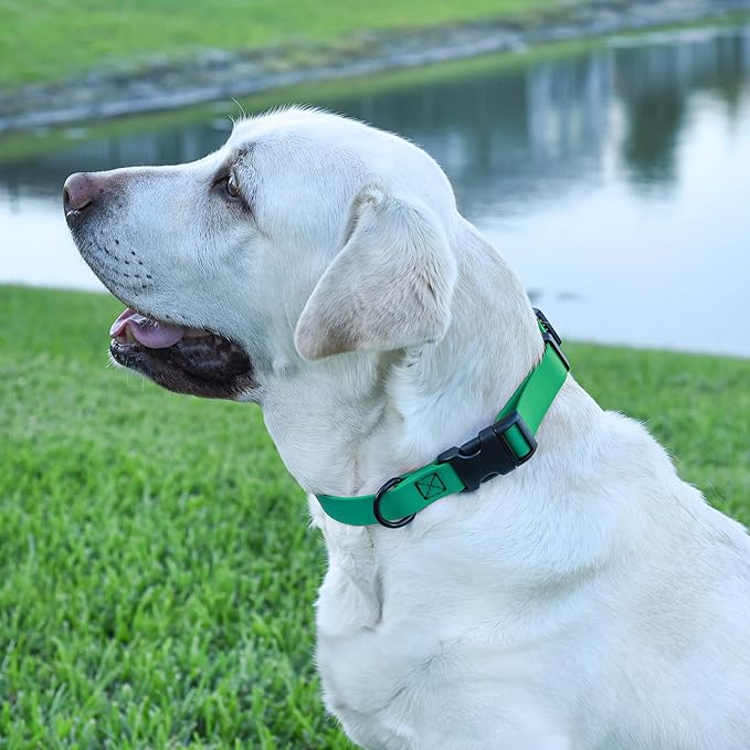 Dogline Biothane Waterproof Dog Collar with Quick Release Buckle Strong Coated Nylon Webbing with Odor- Proof for Easy Care Easy to Clean Fits Small Medium or Large Dogs, Teal 3/4" W 12-19" L-PurrikoPets