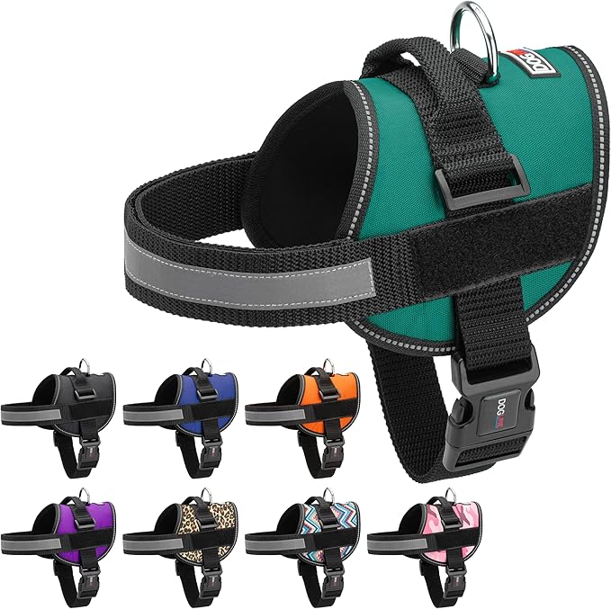 Dogline Dog Harness, Reflective No-Pull Adjustable Vest with Handle for Walking, Training, Breathable, No - Choke Harness for Small, Medium or Large Dogs Room for Patches Girth 15 to 18 in Turquoise-PurrikoPets