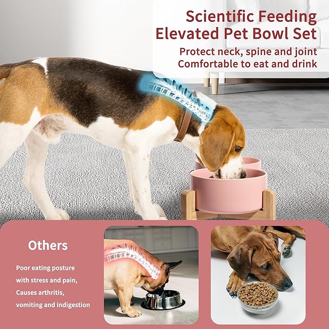 Elevated Ceramic Dog Bowl Set - Raised Dog Bowls with Non-Slip Bamboo Stand - Dog Food and Water Bowl Set - Double Dog Feeding Bowls - Suitable for Small and Medium Dogs - 28.74 OZ - 3.6 CUPS - 850 ML-PurrikoPets