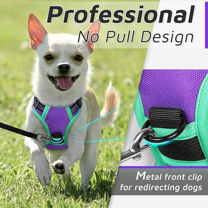 Eagloo Small Dog Harness No Pull, Service Vest with Reflective Strips and Control Handle, Adjustable and Comfortable for Walking, No Choke Pet Harness with 2 Metal Rings, Purple & Green, XS-PurrikoPets