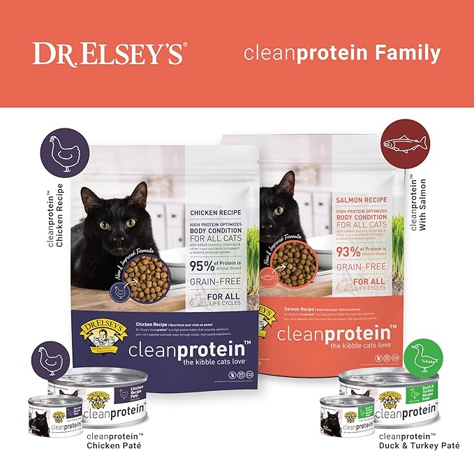 Dr. Elsey's Cleanprotein Salmon Formula Dry Cat Food, 6.6 Lb-PurrikoPets