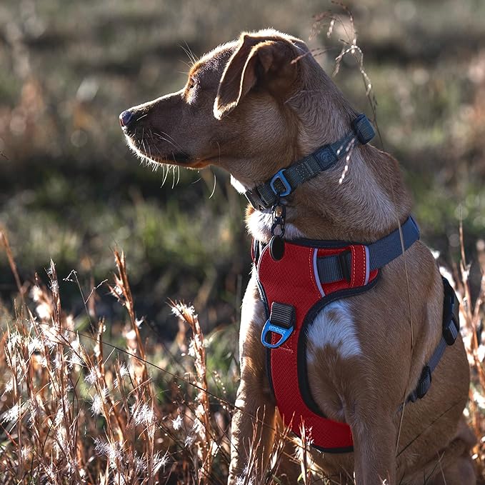 Embark Adventure Dog Harness, Reflective Trim No Pull Dog Harnesses for Small Sized Dogs - Military Grade Nylon, Front Clip with Gel Lined Handle.-PurrikoPets