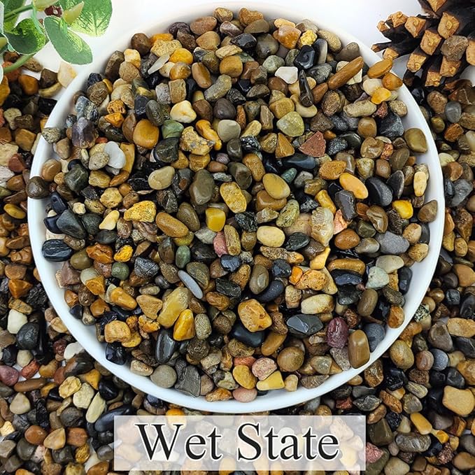 2lbs Natural River Rocks, 1/4" Aquarium Gravel Succulent Cactus Pea Gravel for Plants, Fish Tank, Decorative Pebbles for Gardening, Flower Pots, Vase Fillers, Indoor Water Fountains, Landscaping-PurrikoPets