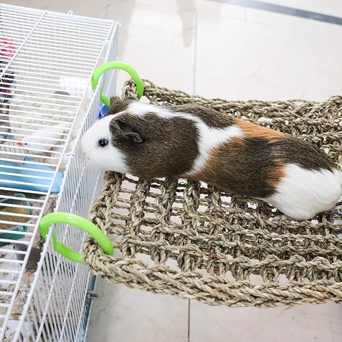 16 x 12 Inches Bird Seagrass Mat, Natural Seagrass Woven Net, Bird Hammock Mat with Hooks, Bird Cage Accessories, Climbing Rope Ladder Chew Toys for Cockatiel Hamster Guinea Pig Rats Hamster Parakeet-PurrikoPets