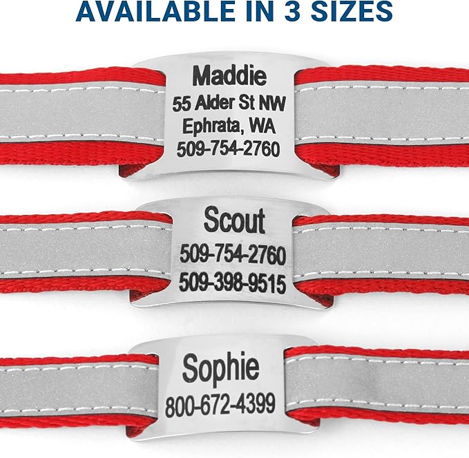GoTags Reflective Personalized Dog Collar with Nameplate, Adjustable Dog Collar with Custom Engraved Steel Slide On Pet ID Tag, Silent, No Noise Dog Tag for Large Medium or Small (Red, Large)-PurrikoPets