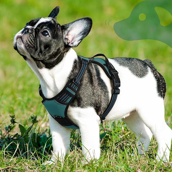 Eagloo Dog Harness Small Sized Dog, No Pull Service Vest with Reflective Strips and Control Handle, Adjustable and Comfortable for Easy Walking, No Choke Pet Harness with 2 Metal Rings, Dark Green, S-PurrikoPets