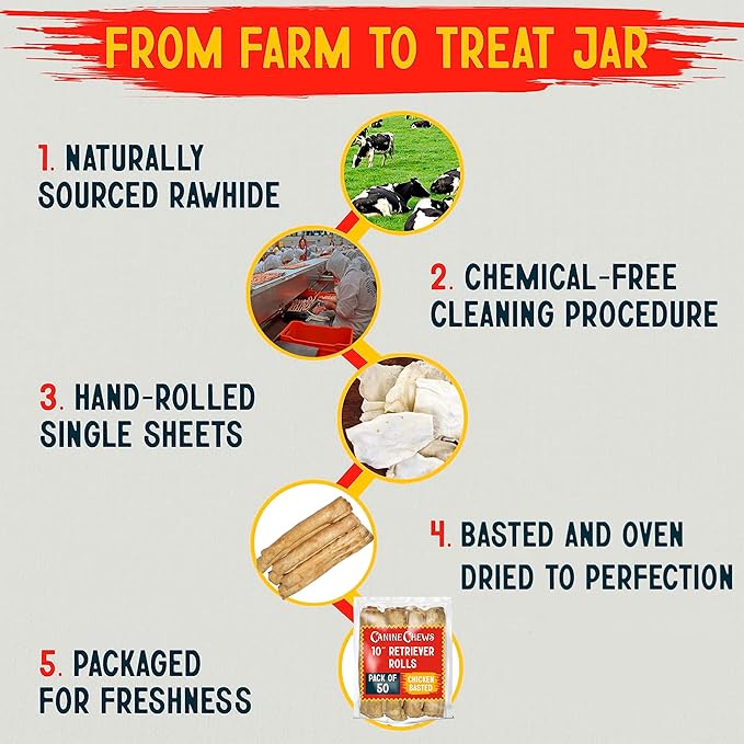 Canine Chews 10" Chicken Basted Dog Rawhide Retriever Rolls (50 Pack) - Natural Beef Dog Rawhide Chews - Healthy Dental Chews-PurrikoPets