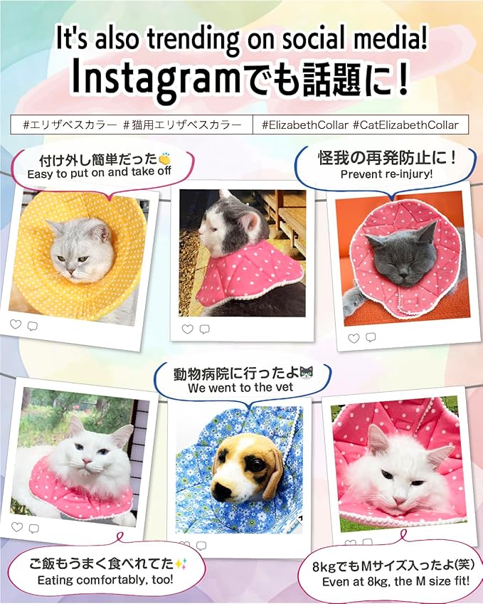 Elizabethan Collar (美/首巻/黄/M)-PurrikoPets