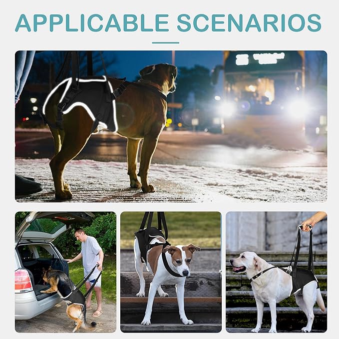 Dog Lift Harness for Extra Large Dogs – Hind Leg Support with Chest Stabilizer Straps, Adjustable Elastic and Buckles, Helps with Hip Dysplasia, Joint Pain, and Mobility, Easy to Wear, XL-PurrikoPets