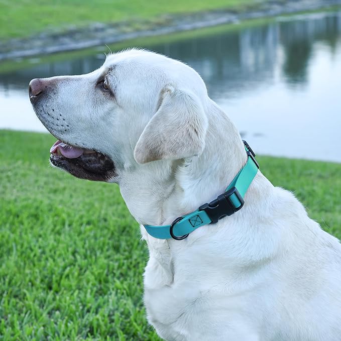 Dogline Biothane Waterproof Dog Collar with Quick Release Buckle Strong Coated Nylon Webbing with Odor- Proof for Easy Care Easy to Clean Fits Small Medium Large Dogs, Cyan Blue 1" W 15-25" L-PurrikoPets