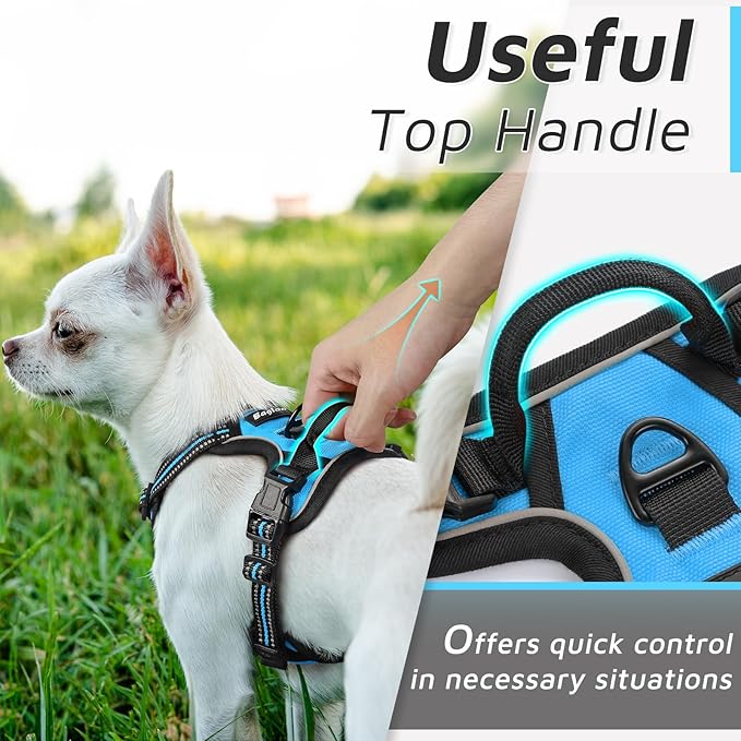 Eagloo Small Dog Harness No Pull, Service Vest with Reflective Strips and Control Handle, Adjustable and Comfortable for Walking, No Choke Pet Harness with 2 Metal Rings, Sky Blue, XS-PurrikoPets
