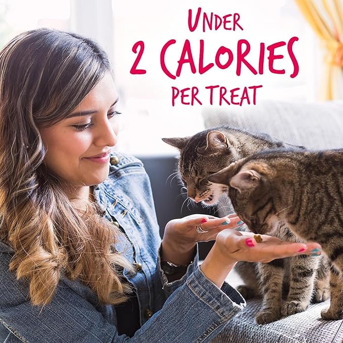 Fruitables Cat Crunchy Treats For Cats – Healthy Low Calorie Packed with Protein – No Wheat, Corn or Soy – Made with Real Salmon with Cranberry – 2.5 Ounces-PurrikoPets