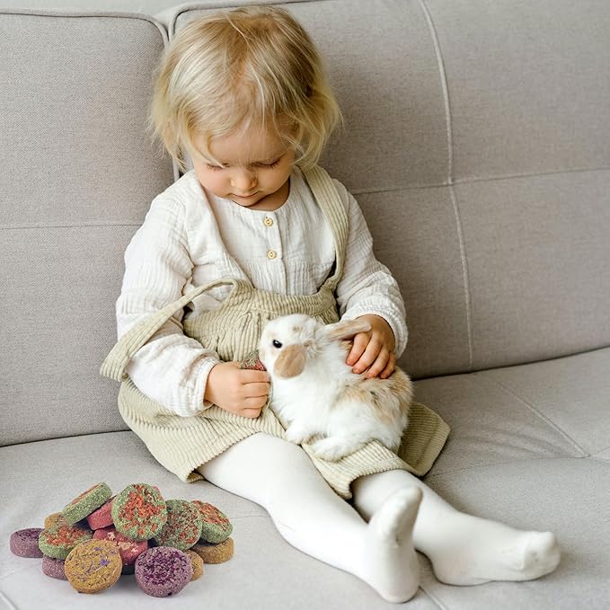 ERKOON 24Pcs Bunny Chew Toys, Small Animal Molar Toys Timothy Grass Beet Sweet Potato Pumpkin Cake Treats for Guinea Pig Hamster Bunny Chinchilla Gerbil, 100% Natural Rabbit Chews and Treats-PurrikoPets