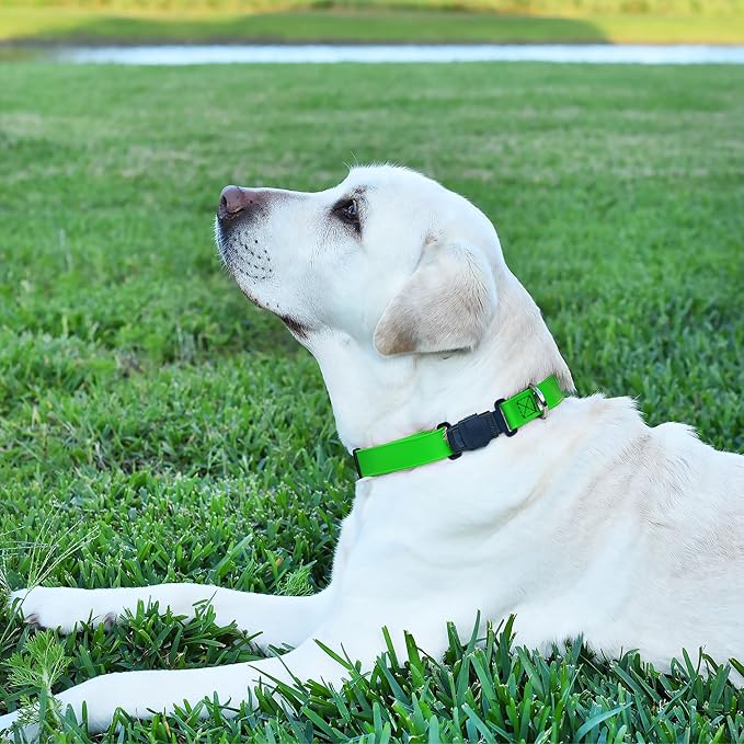 Dogline Biothane Waterproof Dog Collar with Herm Sprenger Stainless Steel Quick Release Buckle – Heavy Duty Tactical Durable Collar for Dogs – Comfortable and Safe Pet Collar, W 3/4" L 12-19", Green-PurrikoPets