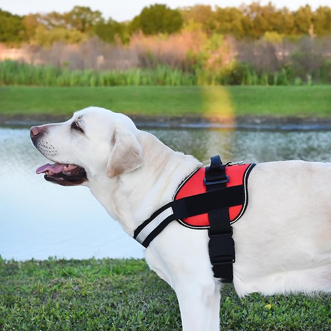 Dogline Dog Harness, Reflective No-Pull Adjustable Vest with Handle for Walking, Training, Service Breathable No - Choke Harness for Small, Medium or Large Dogs Room for Patches Girth 15 to 18 in Red-PurrikoPets