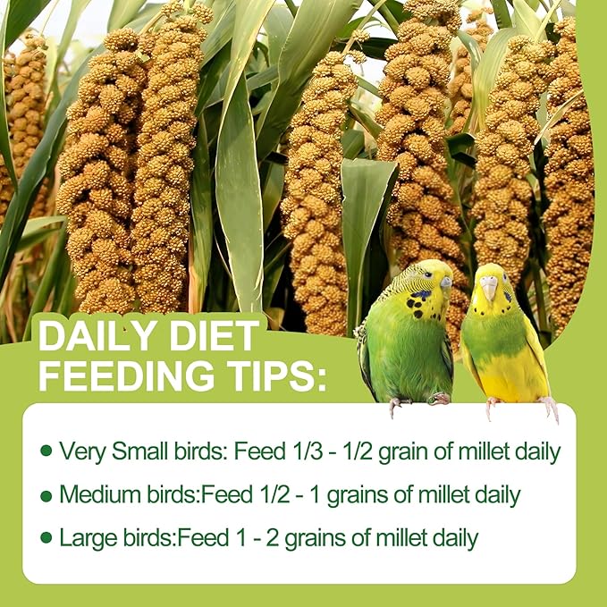 2LB Spray Millet Bird Treat for Parakeets, Natural Sun-Dried Birds Millet Spray for Parrots, Finches, Cockatiel, Budgie & Hamster, Bird Food Bulk-PurrikoPets