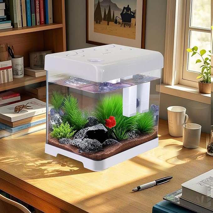 5 Gallon Glass Small Fish Tank,Betta Fish Tank with Filter and Light,White Aquarium Starter Kit.-PurrikoPets