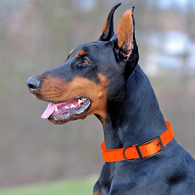 Dogline Biothane Waterproof Dog Collar Strong Coated Nylon Webbing with Black Hardware Odor- Proof for Easy Care Easy to Clean High Performance Fits Small Medium or Large Dogs, Hunter Orange-PurrikoPets