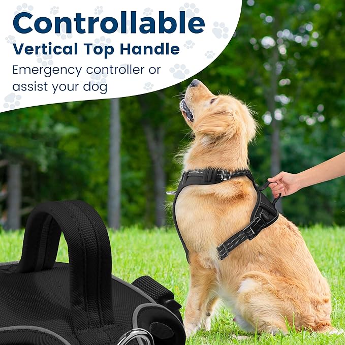 Funfox Dog Harness No Pull, Adjustable Pet Vest Harness, Super Soft Material with Vertical Handle Easy Control, Reflective Night Walking, 2 Leash Clips for Medium Sized Dogs, Black, M-PurrikoPets