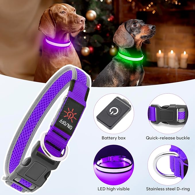 Flashseen LED Dog Collar, Light Up Dog Collar Light USB Rechargeable, Adjustable Comfortable Soft Mesh Safety Collar for Small, Medium, Large Dogs(Large, Purple)-PurrikoPets