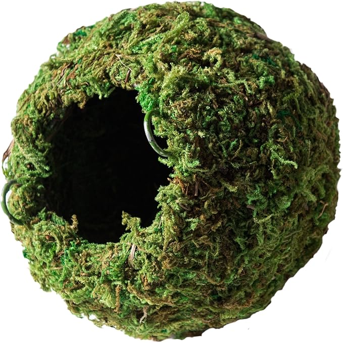 Galápagos (05346) Mossy Cave Hide, 4", Green-PurrikoPets