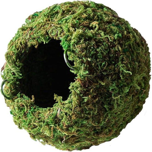 Galápagos (05346) Mossy Cave Hide, 4", Green-PurrikoPets