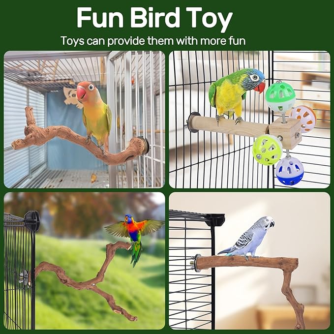 4-Piece Bird Perch Set with Rotating Ball Stand - Natural Wood Bird Gym & Playground for Parrots, Cockatiels, Budgies-PurrikoPets