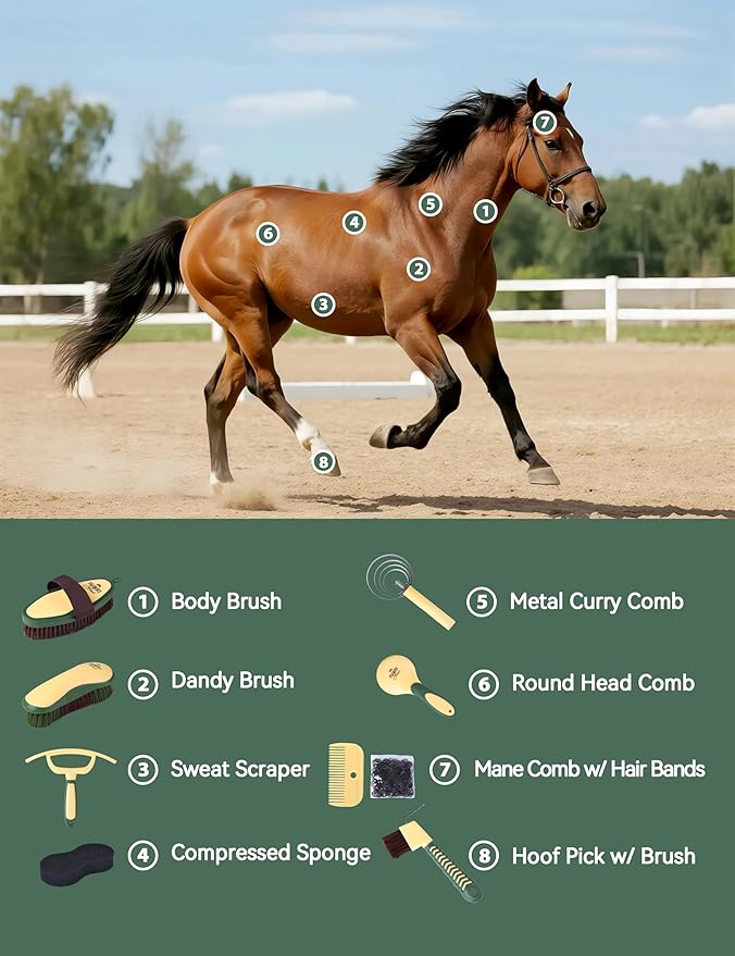 9PCS Horse Grooming Kit Curry Comb Sweat Scraper Horse Bathing Supplies Grooming Tools with Storage Bag Pasture Glow-PurrikoPets