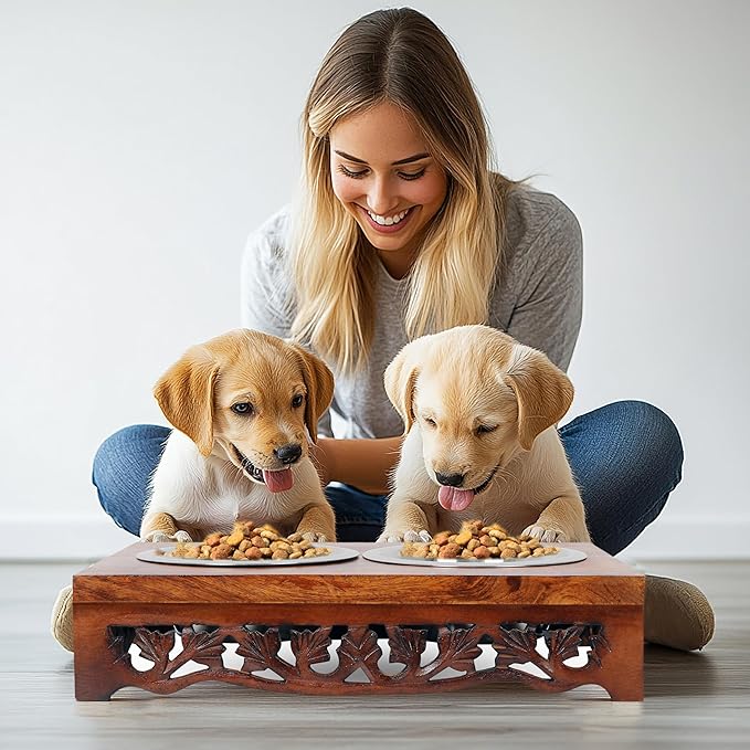 Elevated Pet Feeder for Dogs and Cats - Scroll Carved Wood Raised Dog Bowl Stand - Pet Feeding Stand with Two Steel Bowls - Raised Dog Bowl for Food and Water - Pet Feeding Station -17x11x4- IRONGATE-PurrikoPets