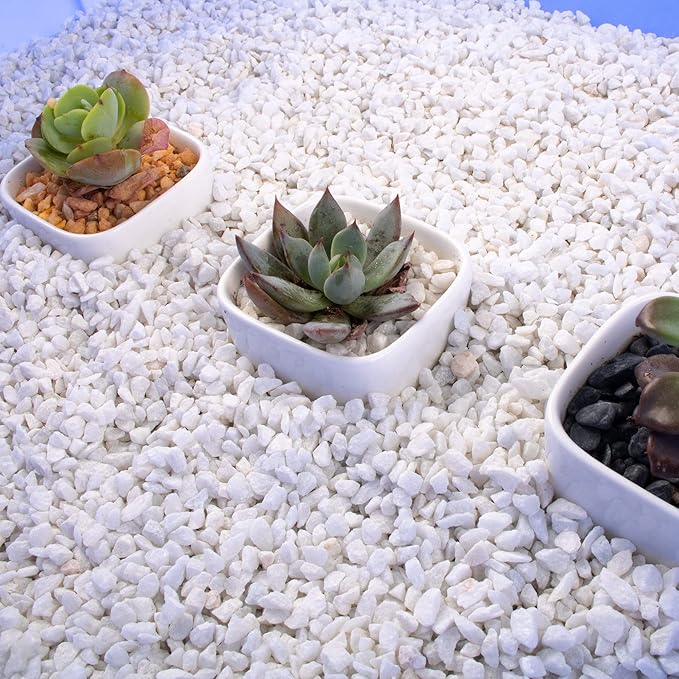 3lb White Cactus Pea Gravel Rocks,1/4 Inch Pebbles for Indoor Plants, Natural Succulent Rock and River Rocks Decorative for Aquariums, Vases, Outdoor Gardening, Top Dressing for Potted Plants-PurrikoPets