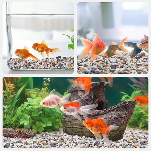 5 lbs Small Rocks for Plants, 1/5 Inch Pebbles for Indoor Plants, Natural Decorative Pea Gravel for Aquarium, Fish Tank, Terrarium, Succulents, Bamboo Plants, Vases, Cactus, Crafts-PurrikoPets