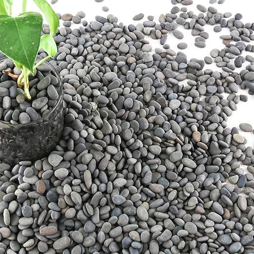 7lb Natural River Rocks Pebbles for Plants & Succulents, Decorative Outdoor Landscaping Garden Rocks, Mexican Beach Pebbles for Aquarium & Vase Decor-PurrikoPets