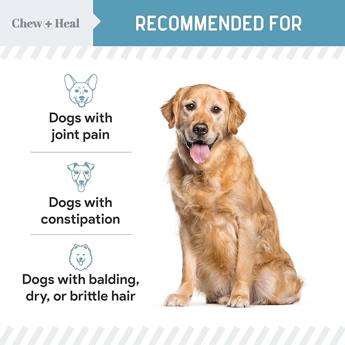 12-in-1 Multivitamin Powder for Dogs - 14 oz of Puppy and Senior Dog Vitamins and Supplements - Advanced Formula with Glucosamine, Omega 3,6,9, Vitamins, Probiotics, and More - Made in The USA-PurrikoPets