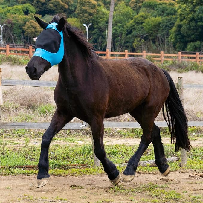 2 Piece Horse Fly Mask with Ears, Comfortable Fit Stretch Fabric Big Eye Space Soft Breathable with UV Protection for Full Horses (Blue-Pink)-PurrikoPets