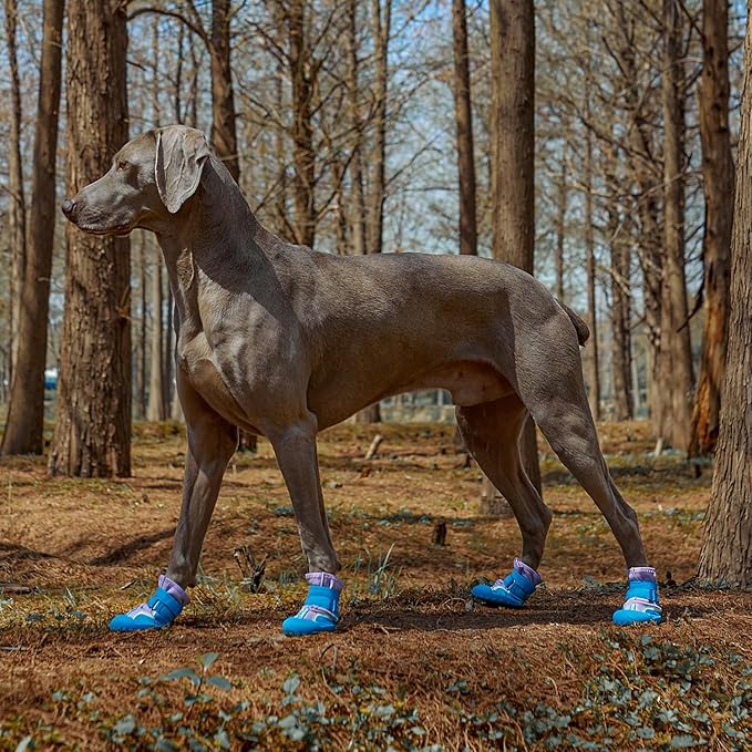Dog Shoes, Waterproof Dog Boots & Paw Protectors with Anti-Slip Sole, 4pcs/Set Pet Dog Booties, Reflective Dog Shoes for Small Medium Large, Winter Snowy Summer Hot Pavement (Blue, 3# (XS))-PurrikoPets