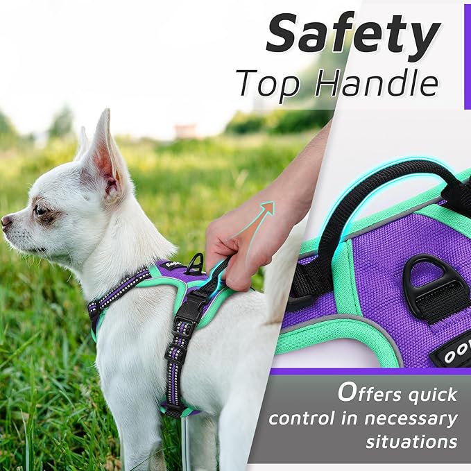 Eagloo Small Dog Harness No Pull, Service Vest with Reflective Strips and Control Handle, Adjustable and Comfortable for Walking, No Choke Pet Harness with 2 Metal Rings, Purple & Green, XS-PurrikoPets