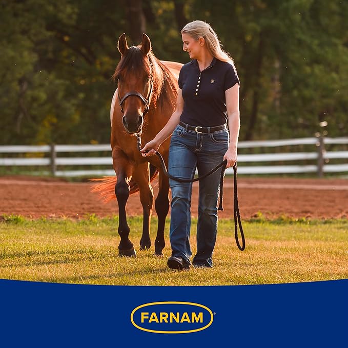 Farnam SuperMask II Fly Mask Without Ears for Larger Horses, Full Face Coverage and Eye Protection from Insect Pests, Structured Classic Styling Mesh with Plush Trim, XL Size-PurrikoPets