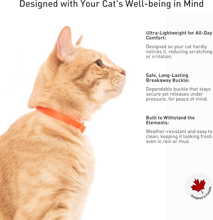 5 Pack Breakaway Cat Collar - Soft, Comfortable, and Lightweight Safety Buckle Collar with ID Tag Ring for Outdoor Cats and Kittens by Nuvuq (6 ⅞" to 10 ¼", Red, Orange, Pink, Blue and Black)-PurrikoPets