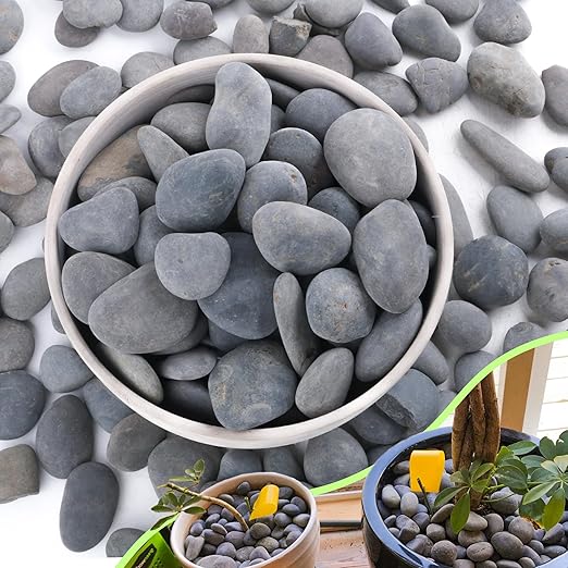 7LB River Rocks,Mexican Beach Pebbles for Plants,Potting,Garden Landscape Stone Paving Stone Grey 1Inch - 2Inch-PurrikoPets
