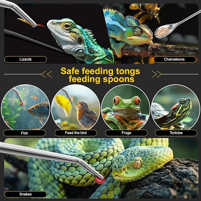 2pcs Reptile Feeding Tongs, Feeding Spoon, Stainless Steel Aquarium Feeding Tools, Curved Long Tweezers 10.6 in, Long Spoon 10 in (Coffee Spoon) for Feeding Lizards, Bearded Dragons and More.-PurrikoPets
