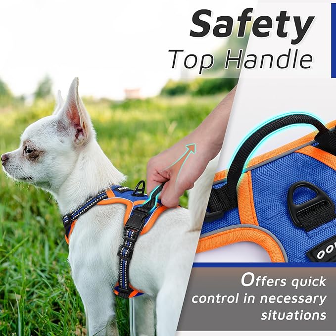 Eagloo Small Dog Harness No Pull, Service Vest with Reflective Strips and Control Handle, Adjustable and Comfortable for Walking, No Choke Pet Harness with 2 Metal Rings, Blue & Orange, XS-PurrikoPets