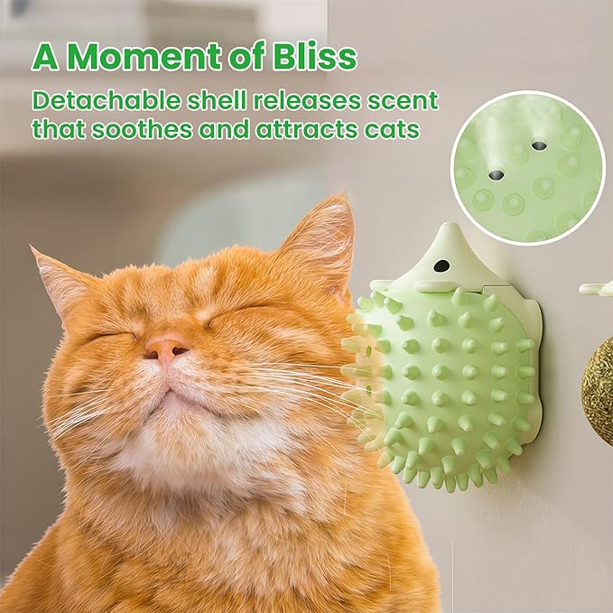 6 Pcs Catnip Ball Toys with Rubbing Shell, Lickable Roller Catnip Toys for Cats Chew, Edible and Refillable Kitten Toys, Teeth Cleaning Dental Indoor Cat Treats Toys, 3 Shells 6 Balls-PurrikoPets