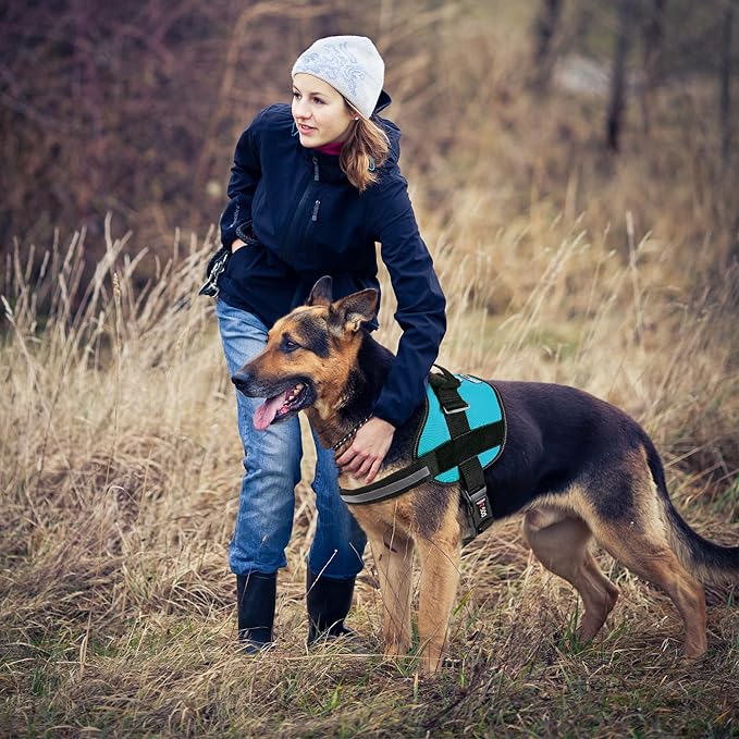 Dogline Dog Harness, Reflective No-Pull Adjustable Vest with Handle for Walking, Training, Breathable, No - Choke Harness for Small, Medium or Large Dogs Room for Patches Girth 15 to 18 in Turquoise-PurrikoPets