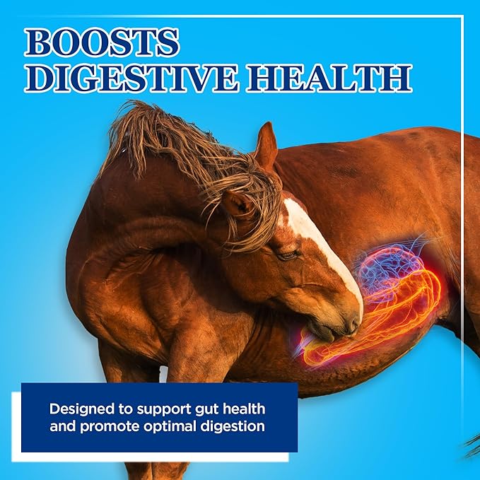 Equerry's Large Animal Probiotic | Supplements for Gut Health and Nutrient Absorption | Probiotics and Digestive enzymes for Horses, Cows, Goats, Sheep, Pigs, 160 Feedings (20lbs) for 1000 lb Animal-PurrikoPets