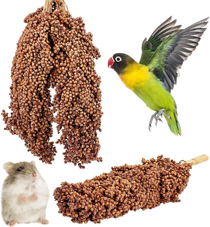 Fhiny Millet Spray for Birds, 3 PCS Natural Sun-Dried Red Sorghum Grain for Birds Seed Original Parrot Treats & Supplement Parakeet Food for Cockatiels Lovebirds Finches Budgies Pigeons Hamsters-PurrikoPets