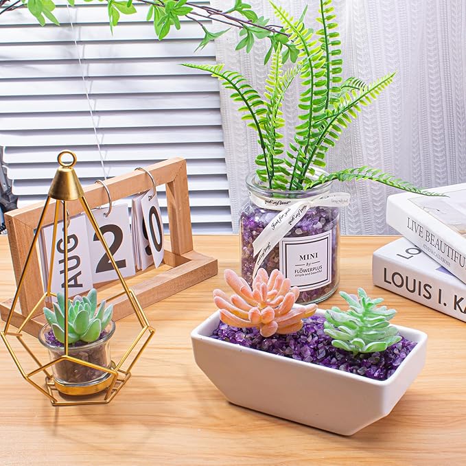 3 LB Amethyst Crystal Rocks Tumbled Crushed Stones Amethyst Crystal Quartz Chips Bulk Natural Gemstones Healing Reiki Mini Quartz Vase Filler Fish Tank Gravel Rocks-PurrikoPets