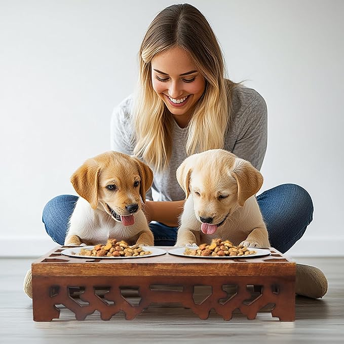 Elevated Pet Feeder for Dogs and Cats - Hand Carved Wood Bones Raised Dog Bowl Stand - Pet Feeding Stand with Two Steel Bowls - Raised Dog Bowl for Food Water - Pet Feeding Station -17x11x4- IRONGATE-PurrikoPets