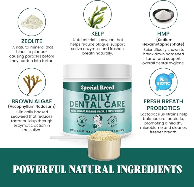 Dog Teeth Cleaning Powder – Natural Dog Dental Powder for Tartar Control, Fresh Breath & Gum Health – Daily Plaque Remover with Zeolite, Brown Algae, Probiotics & Rosemary – 90 Scoops-PurrikoPets