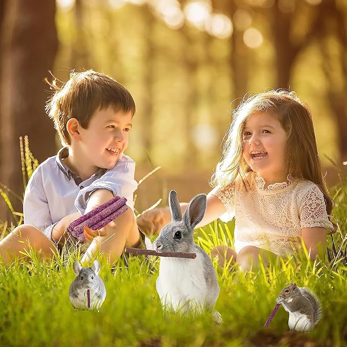 70PCS Rabbit Chew Sticks, Bunny Guinea Pig Toys for Teeth Natural Timothy Hay Sticks for Rabbit Chinchilla Guinea Pig Bunny Hamster - Chews Toys for Small Rodents' Teeth-PurrikoPets