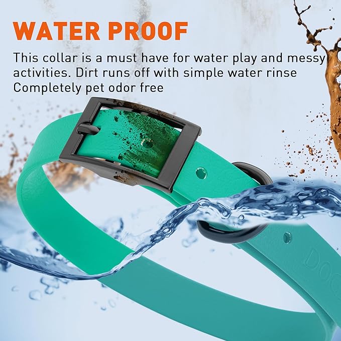Dogline Biothane Waterproof Dog Collar Strong Coated Nylon Webbing with Black Hardware Odor- Proof for Easy Care Easy to Clean High Performance Fits Small Medium or Large Dogs, Teal-PurrikoPets